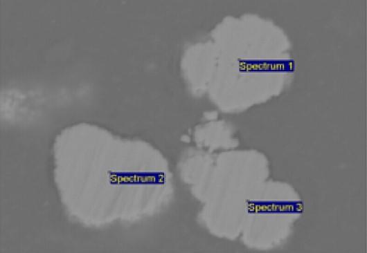 SEM-EDS Analysis The area of interest for analysis was imaged with secondary electrons and backscattered electrons in (Fig. 4-3).