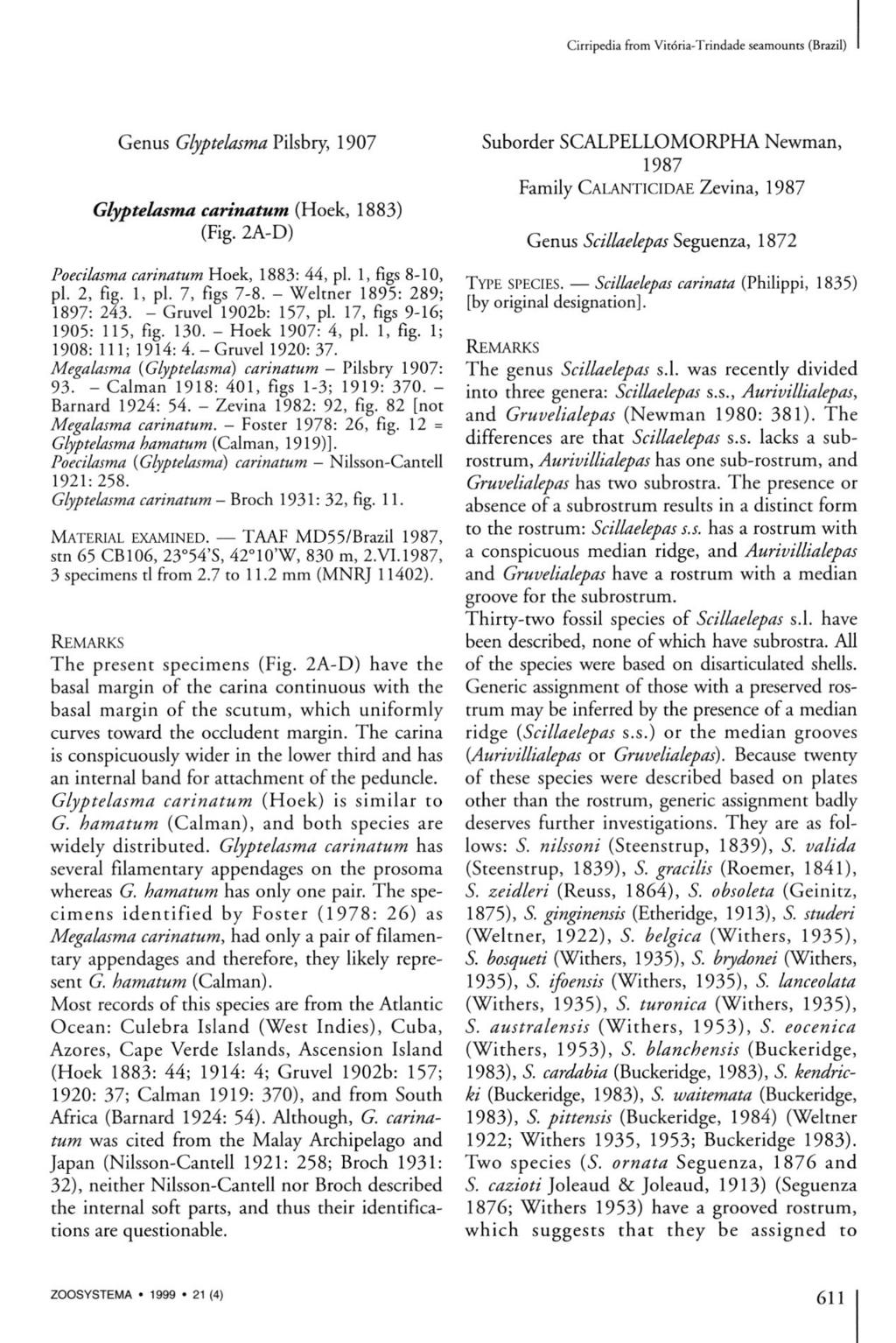 Cirripedia from Vitoria-Trindade seamounts (Brazil) Genus Glyptelasma Pilsbry, 1907 Glyptelasma carinatum (Hoek, 1883) (Fig. 2A-D) Poecilasma carinatum Hoek, 1883: 44, pl. 1, figs 8-10, pl. 2, fig.