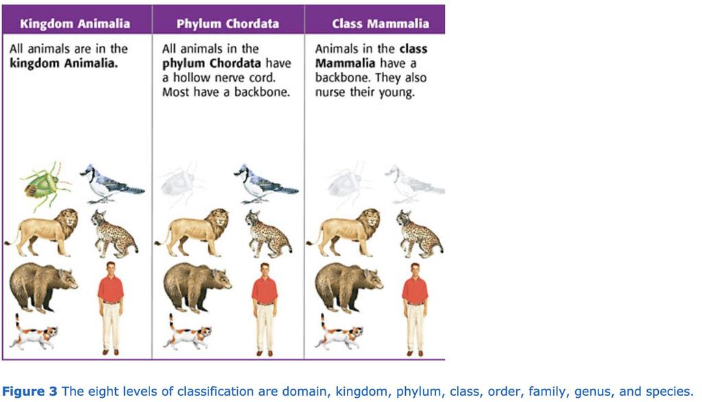 Scientific Names By classifying organisms, biologists can give organisms scientific names.