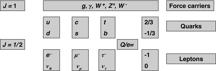 8 The Standard Model and electroweak symmetry breaking Figure 1.2 The fundamental particles of the SM. The force carriers are spin 1 bosons. The particles of matter are spin 1 / 2 fermions.