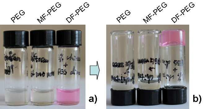 DF-PEG solution was added into 0.70 g of chitosan solution, the gelation occurred with ~ 30-40 seconds of vortex.