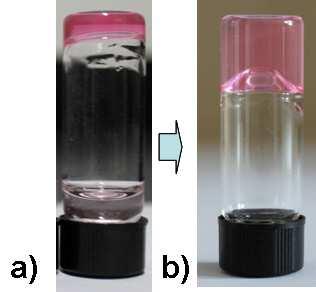 Figure S5. Hydrogel incubated in water. a) t = 0 h; b) t = 72 h. 4.2 Vitamine B 6 derivatives. Pyridoxyl hydrochloride (PL-HCl) neutral aqueous solution (1.