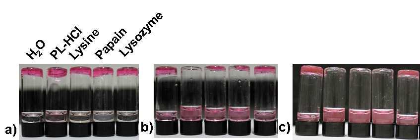 Figure S6. The different responses of hydrogels under different conditions, trace rhodamine B were added in hydrogels for better observation. a) t = 0 h; b) t = 1.5 h; c) t = 3h. 5.