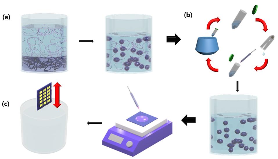 Experimental Section Figure S1 (a) The miniemulsion process for the fabrication of polymer nanoparticle.