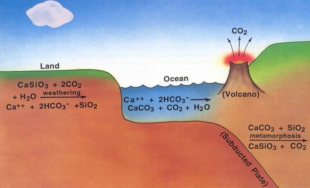 4.2 The carbon cycle The slow carbon cycle: weathering,