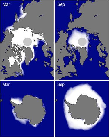 Annual cycle of sea ice extent Arctic sea ice occupies the Arctic Ocean, including the pole; partly persists for multiple years Antarctic sea ice forms equatorward of the Antarctic continent and