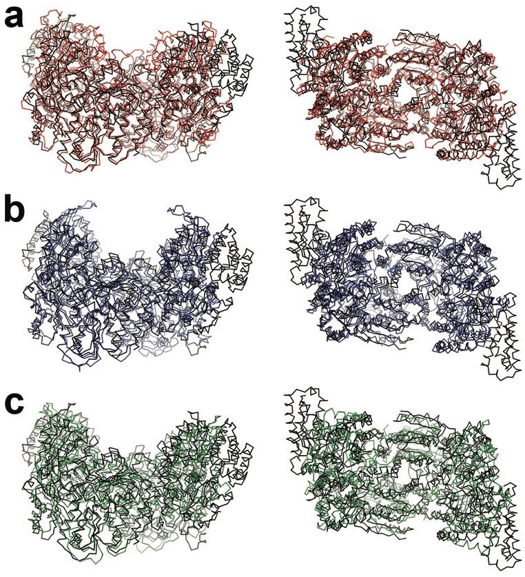 Supplementary Figure 2: Structural homologies within the nitrogenase enzyme family.