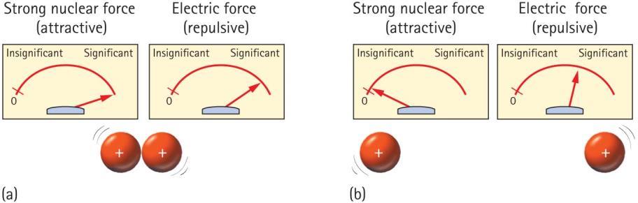 The strong nuclear force (SNF) : a very distance sensitive attraction between nucleons.