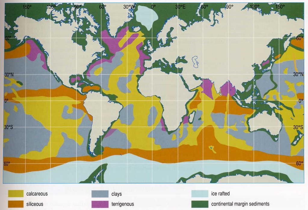Calcareous sediment dominates along oceanic ridges Shallowest regions of the oceans Carbonates are restricted to shallow waters because: More biogenic rain Chemistry of waters at shallow depths