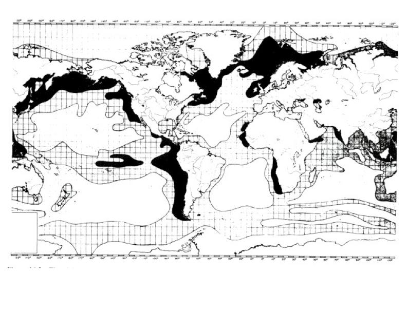The distribution of zooplankton abundance correlates well with NPP in surface waters. Figure 14.