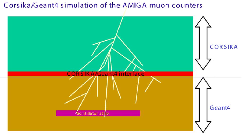AMIGA SIMULATIONS AT LIP THE SIMULATION FRAMEWORK EAS simulation on the