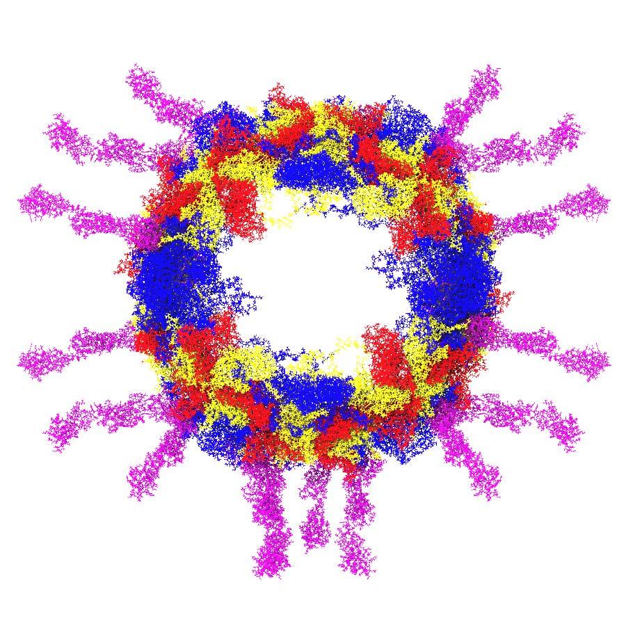 Science 1: Poliovirus Infection