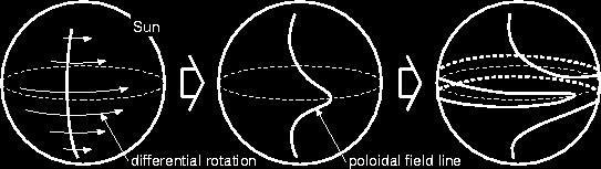 Current Understanding: Toroidal Field Generation (Omega Effect) Poloidal field Toroidal Field Differential rotation