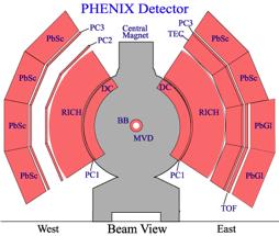 been measured: pions, kaons, protons, Xi, Lambda, phi,