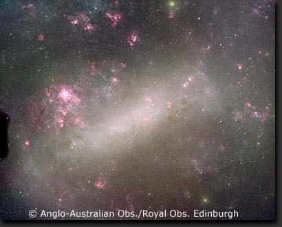 The Large Magellanic Cloud (LMC) Irregular