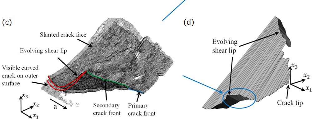 of two leading edges one being the edge of the primary slant crack face and one being the edge of the evolving shearlips ( Fig.