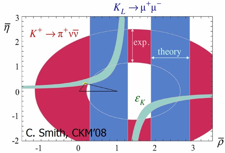Current experimental status BR(K L π 0 νν) vs BR(K + π + νν) CKM unitarity triangle with kaons experimental uncertainty (littlest Higgs with T parity) D.