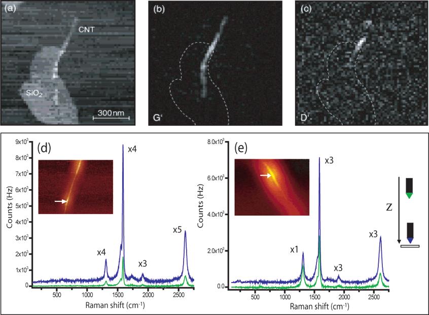 Figure 5. Localization of disorder-induced phonon modes. (a) Topographic image of a carbon nanotube ( 2 nm diameter) partially covered by a SiO 2 island.
