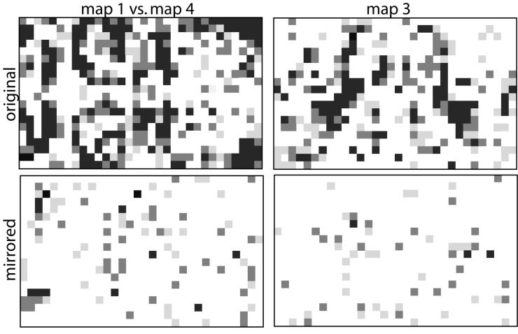 The lower left grid in Figure 12 shows the statistical comparison between map 1 and the mirrored version of the grids related to map 4.