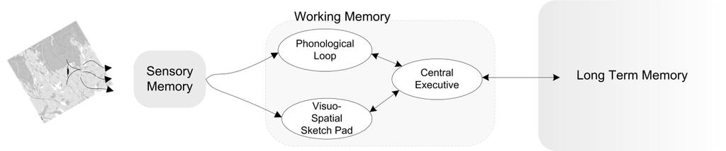 information from the WM to the long term memory (LTM), it has to be rehearsed and thus learned (Cowan, 2001; Matlin, 2002; Miller, 1956). The capacity of the LTM is considered virtually infinite.