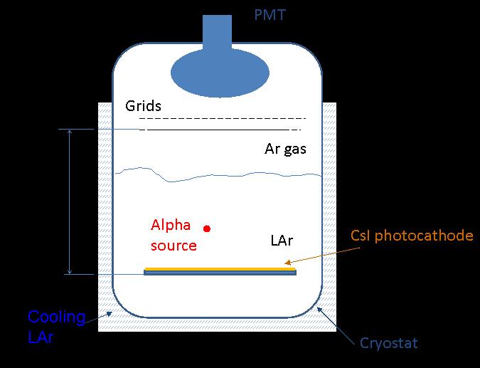 Figure 2 shows the results of the measurements performed with the PMT tube when the cryostat was filled with Ar gas while figure 3 refers to the operations in dual-phase mode.