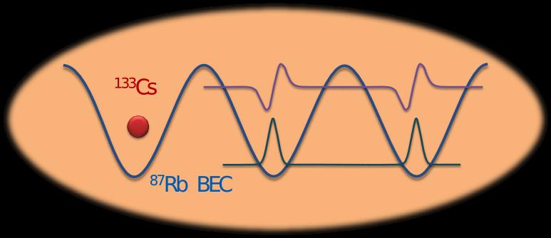 studies of polarons in a BEC exist (see for example [26 29]), no experimental observation has yet been achieved, although neutral impurities in ultracold bosonic baths have been realized [30 33].