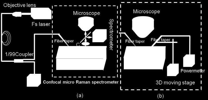 normal of the sample. The SH signal is guided vertically to a beam splitter via grating B. One part of the beam is detected by a spectrometer, and the other part is collected by a microscope.