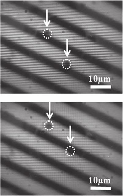 832 4 2Hz 1Hz Displacement [μm] 2-2 -4.5 1 1.5 2 Measuring Time [s] Figure 6 Displacement of micro-hydrogel particles under 9 V applied voltage. Filled triangles (m) denote the case of the 1.