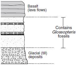 Base your answers to questions 26 and 27 on the cross section below. The cross section shows a portion of Earth's crust. Letters A, B, C, and D represent rock units that have not been overturned. 26. On the cross section above, place an X where the metamorphic rock quartzite may be found.