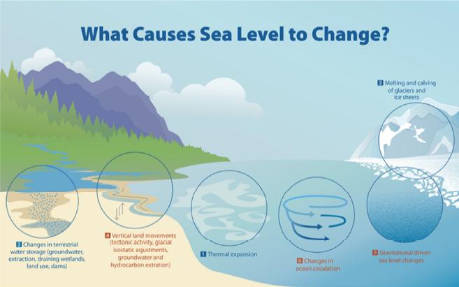 What causes the global sea level changes that we are seeing today?