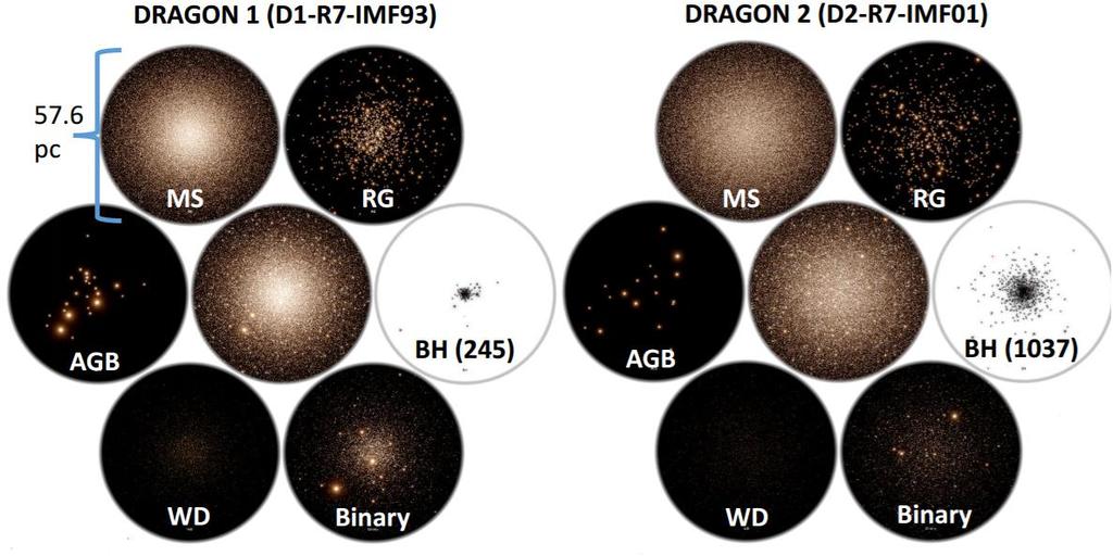 BH Subsytem in GCs: DRAGON Simulations Different populations of objects at 12 Gyrs Wang et al.