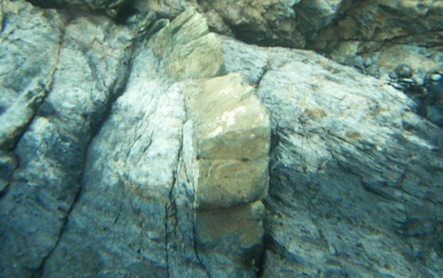 updating: Geological model (history matching) Hazard assessment after Utsira sandstone Variety of common phenomena in sedimentary basins, depending on rock