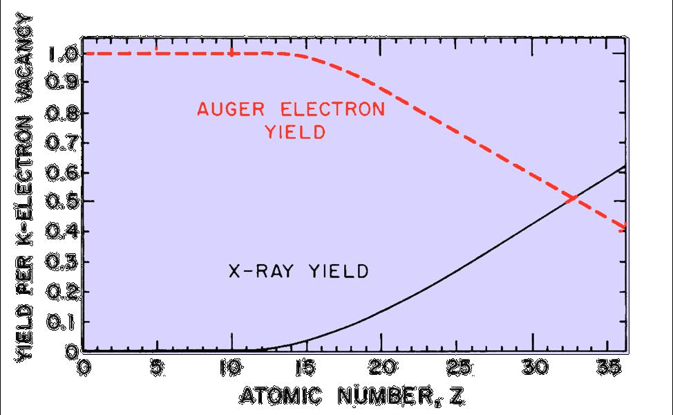 Auger Electron Yield versus X-ray Yield per K