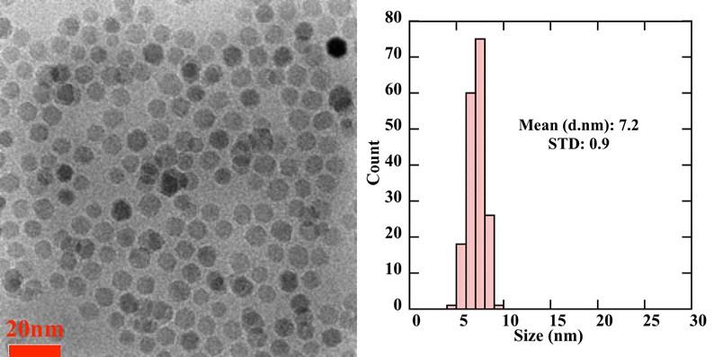 Figure S1. TEM micrograph of oleylamine coated magnetic nanoparticles on the left and histogram of particles size distribution on the right.