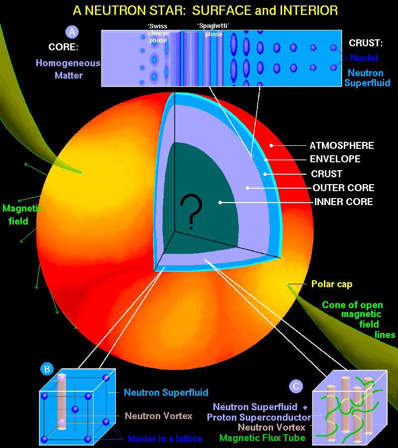 Beyond QCD Nuclear Structure and Reactions Future CEBAF data will determine the thickness of the neutron skins in a Pb, 40 Ca, 48 Ca nucleus which is related to the radius of a neutron star.