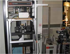 Methodology Characterization and Testing 1 Specimen level Tensile Testing Laboratory sepcimen 5
