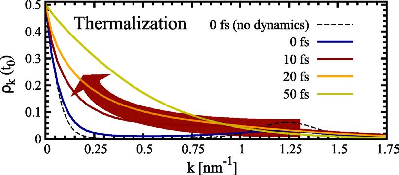 Carrier thermalization Significant relaxation takes place already during the excitation pulse Coulomb-induced