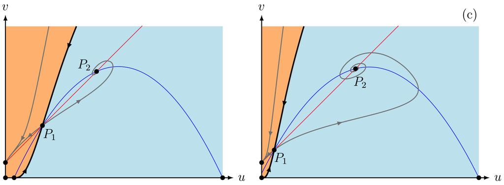 01 (right panel) the equilibrium point (0, C) is global attractor. (b) M = 0.