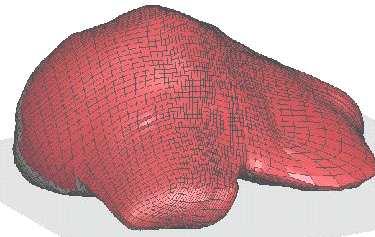 Structured vs Unstructured meshes Example 1 : Liver meshed with hexahedra 3 months