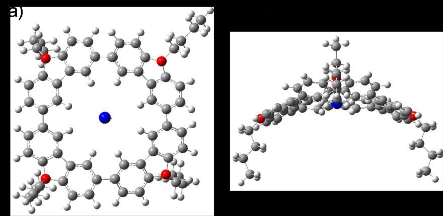 7. PM6 molecular model of the Cy[4]C/iodide anion complex Figure S10. PM6 molecular model of the Cy[4]C/iodide anion complex: (a) top view; (b) side view.