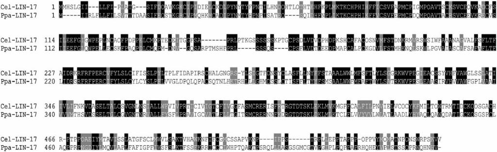 The PPB-39-F14y end contains a strong prediction for the gene Ppa-lin-17. (b) Conceptual translation of Ppa-lin-17. The seven transmembrane domains are boxed.
