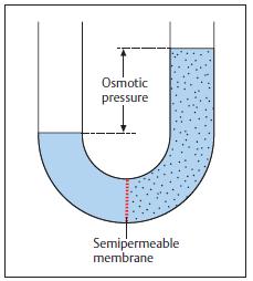 Osmotic Pressure π = M R T i π = osmotic pressure in atm M = molarity of the solution OR M = n/v R