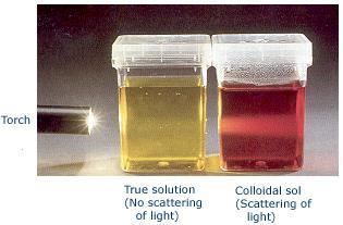 Colloids Solutions with particles that are too big to dissolve but too small to settle out Colloidal dispersions are the dividing line between