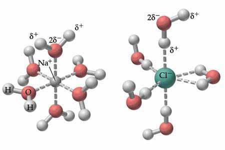 the ions in the NaCl compound (solute-solute) or between the water s hydrogen bonds