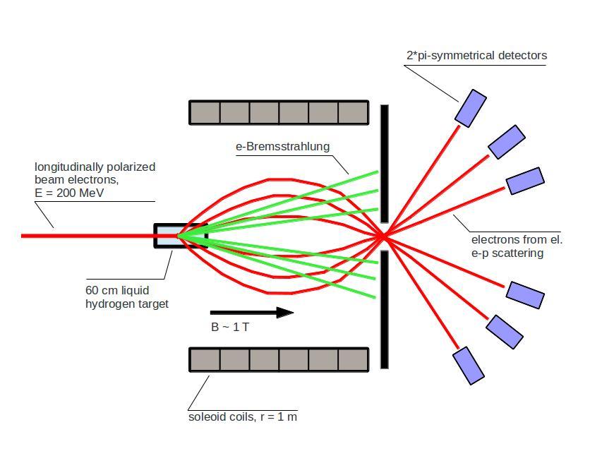 Figure 7: Sketch of Project P2 s detector concept: Electrons (red trajectories), scattered elastically off protons in a liquid hydrogen target, pass through the magnetic field of a solenoid and are