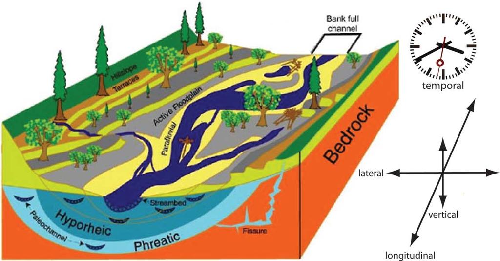 Hydrogeomorphic controls in floodplain ecosystems Four dimensions of river corridors influence floodplain ecosystem processes through river-floodplain hydrologic