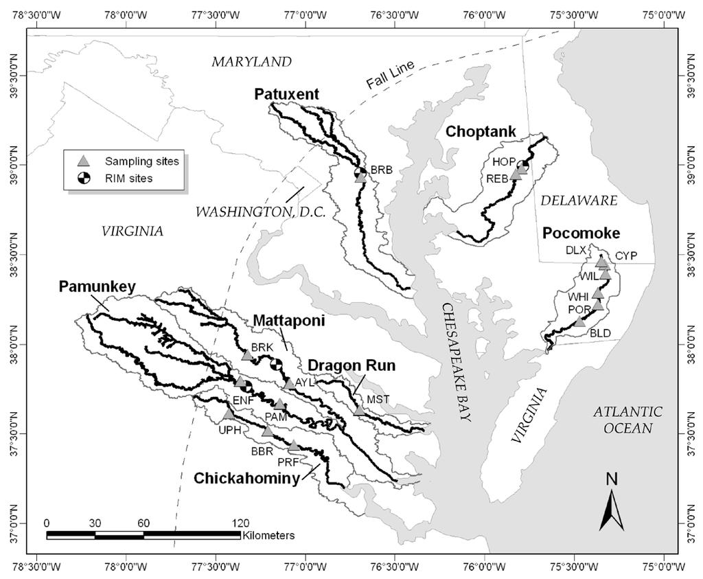 Nutrient trapping in the Coastal Plain