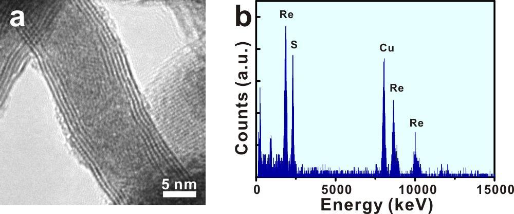 Figure S6. HR-TEM image and EDX measurement of ReS 2 nanoscrolls.