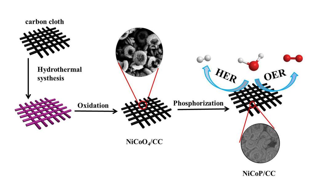 Supporting Information Nest-like NiCoP for Highly Efficient Overall Water Splitting Cheng Du, a Lan Yang, a Fulin Yang, a Gongzhen Cheng a and Wei Luo a,b* a College of Chemistry and Molecular