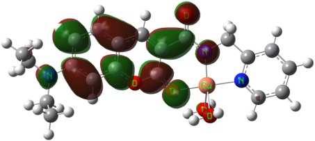 These orbitals should be related to the fluorescence behavior of 1 upon the complexation as discussed in our previous works.